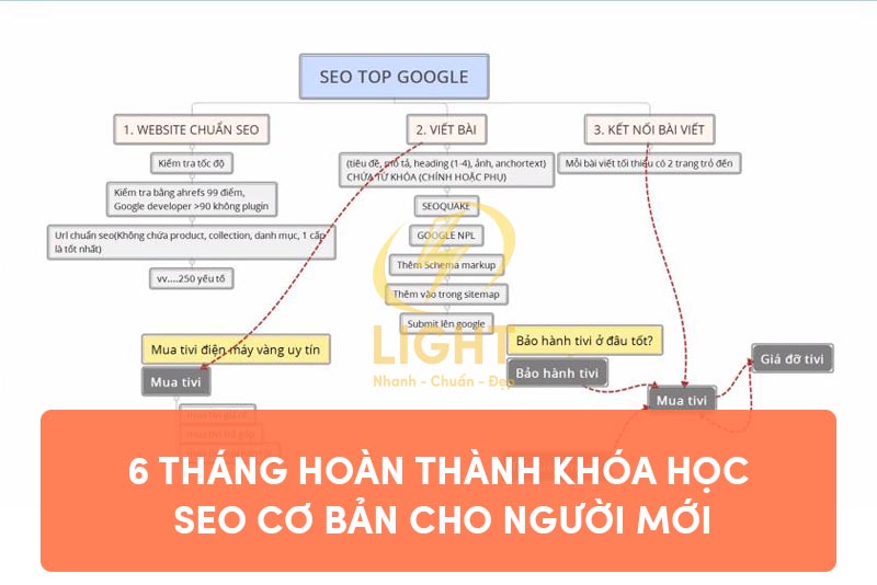 Học SEO cơ bản là nghiên cứu tổng quan về SEO