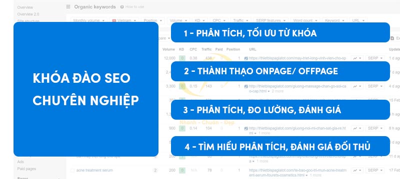 Học SEO Uy tín tại LIGHT