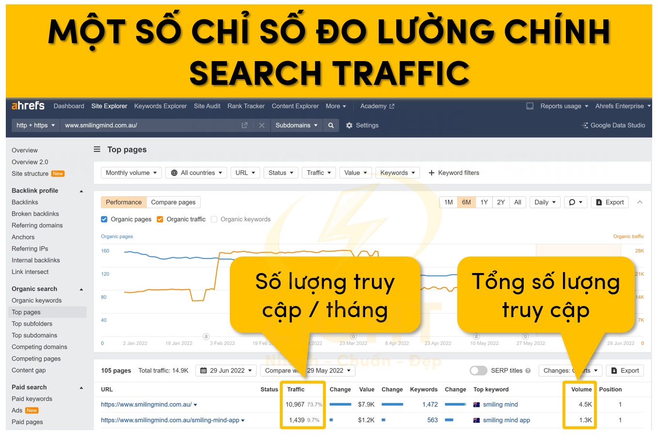Một số chỉ số đô lường chính của Search Traffic