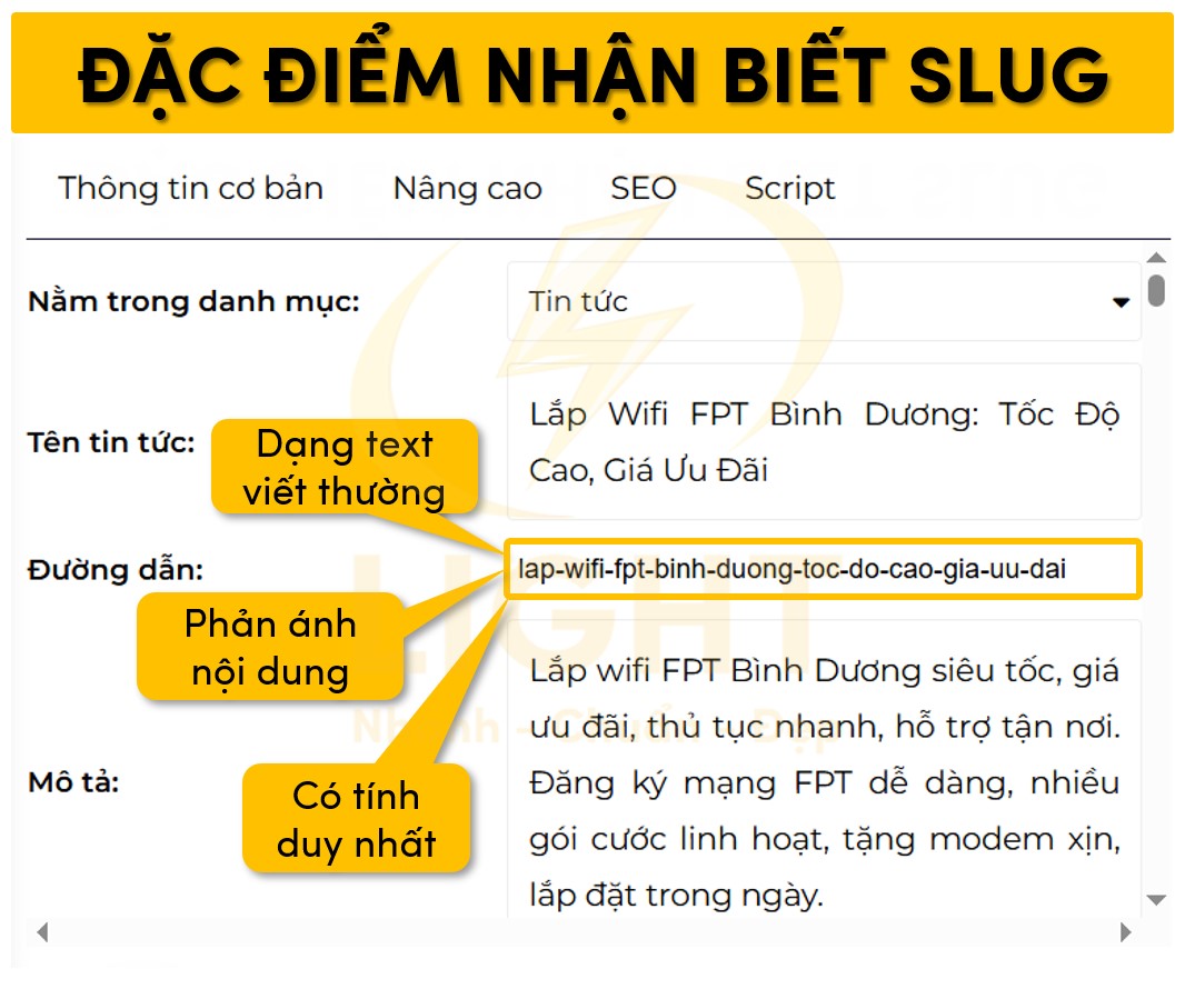 Đặc điểm nhận biết slug