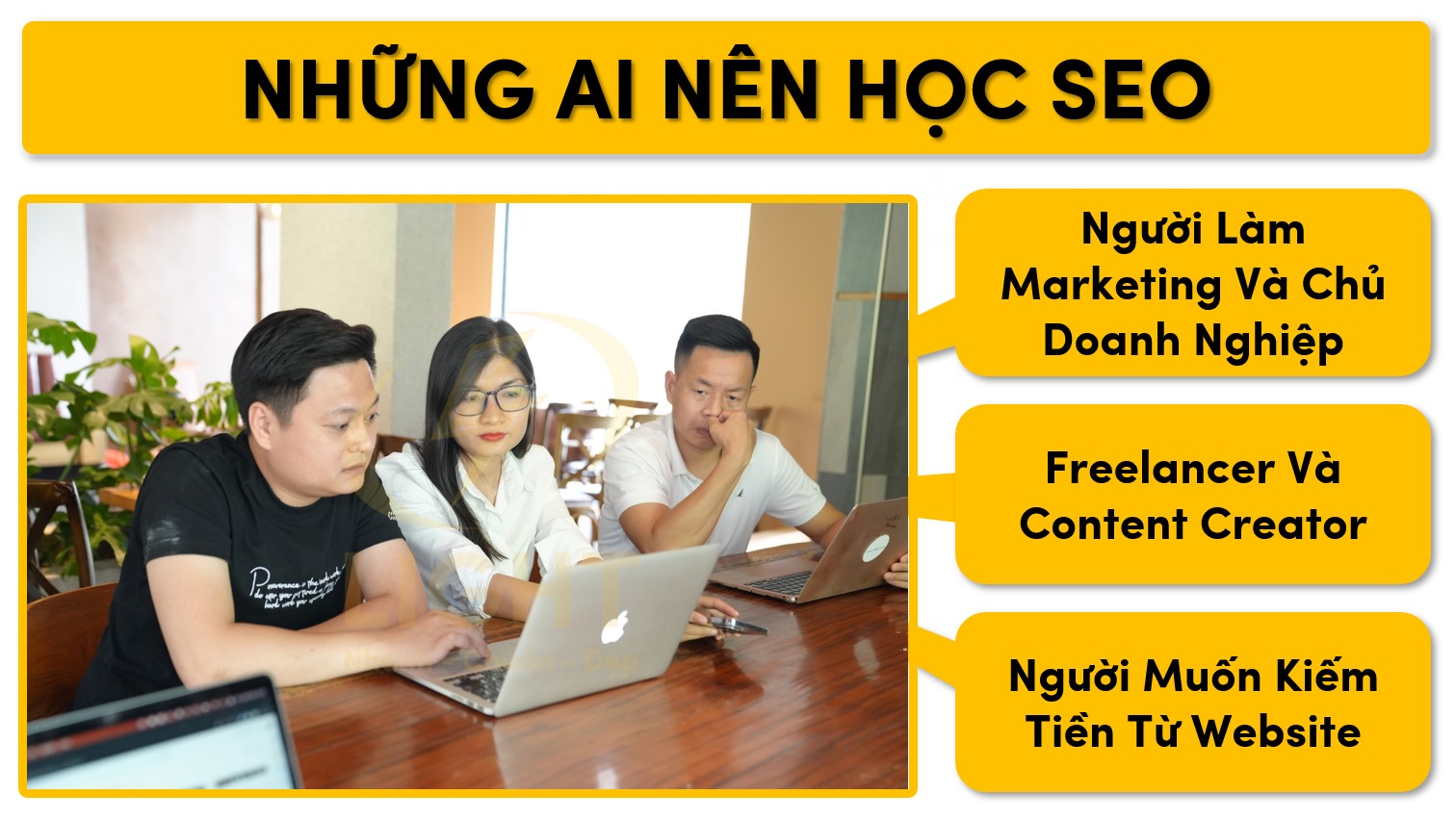 Có nên học seo không? Kiến thức cần phải biết khi học SEO