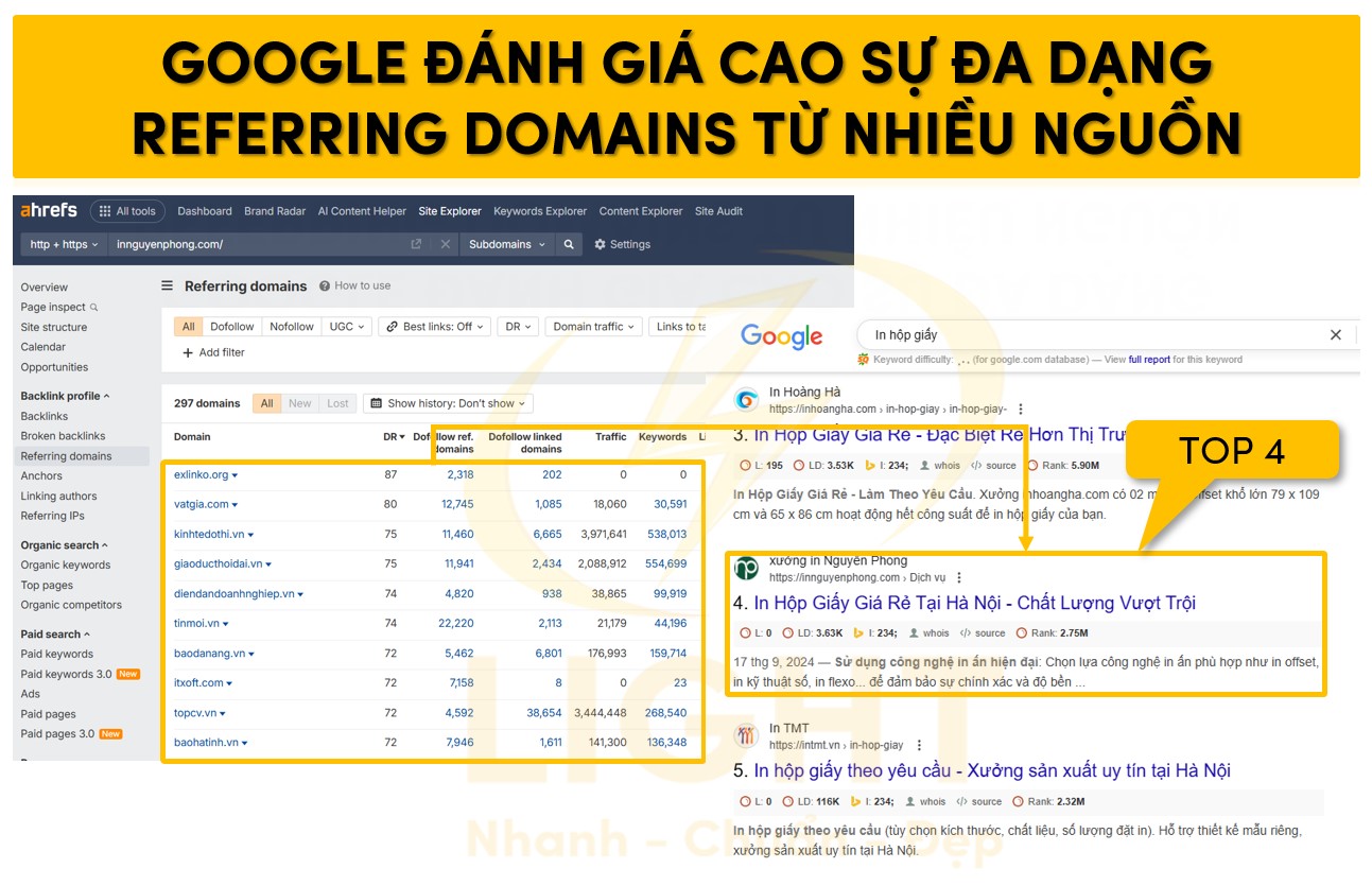 Google đánh giá cao sự đa dạng Referring Domains từ nhiều nguồn