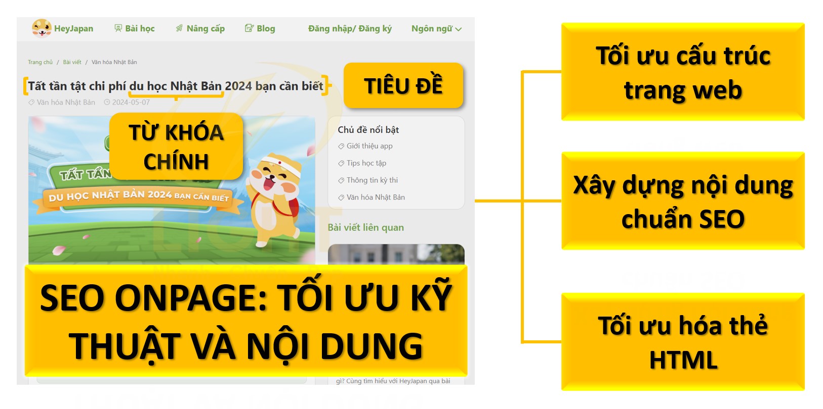 SEO Onpage: Tối ưu kỹ thuật và nội dung