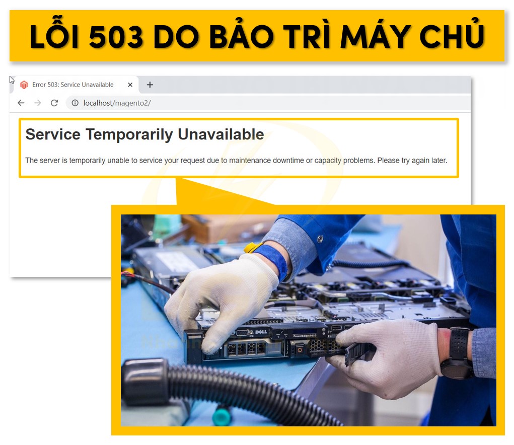 Lỗi 503 do bảo trì máy chủ