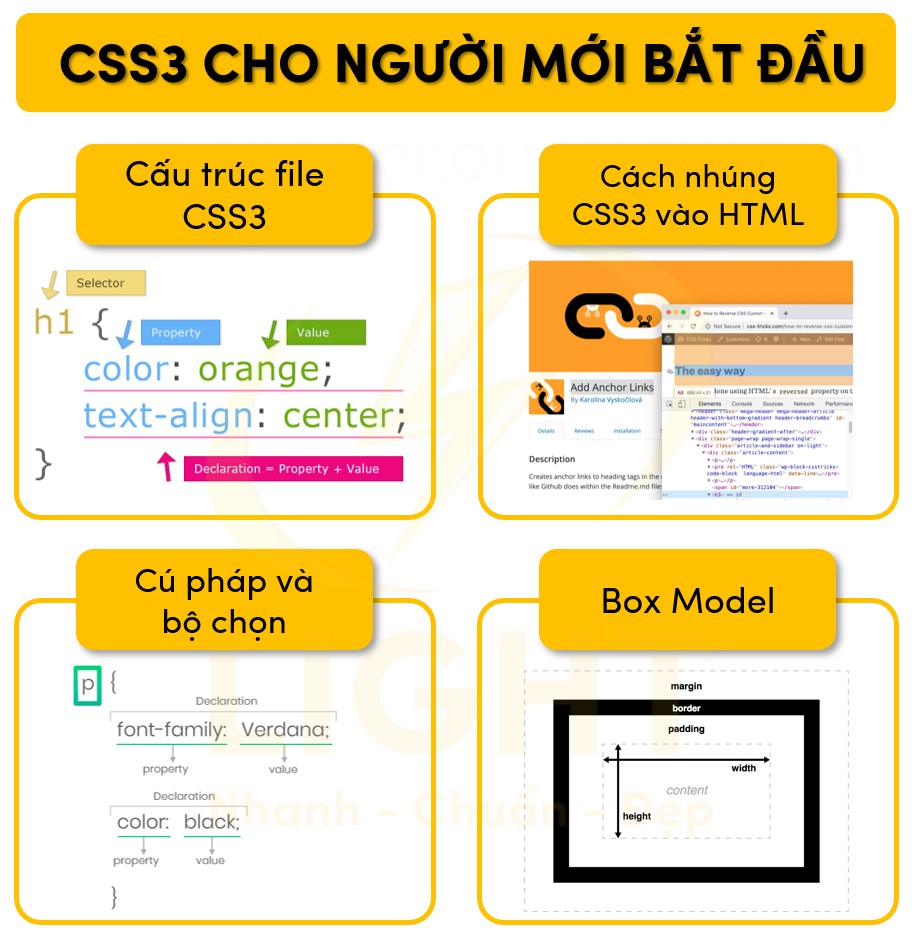 CSS3 cho người mới bắt đầu