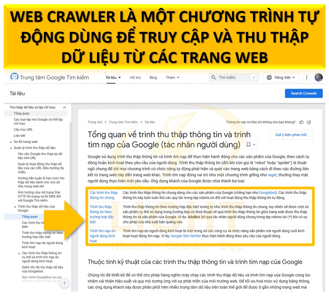 Web crawler là gì? Cách tối ưu website để tăng hiệu thu thập thông tin website