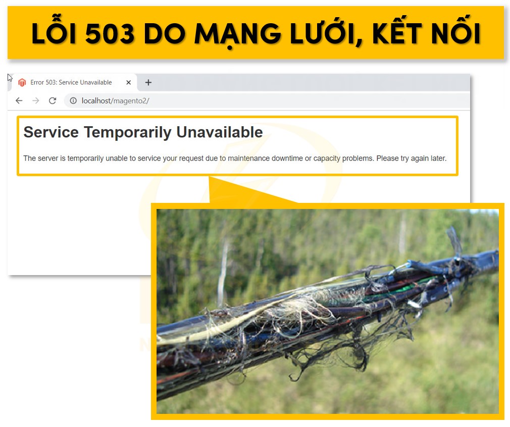 Lỗi 503 do mạng lưới hoặc hết nối hỏng