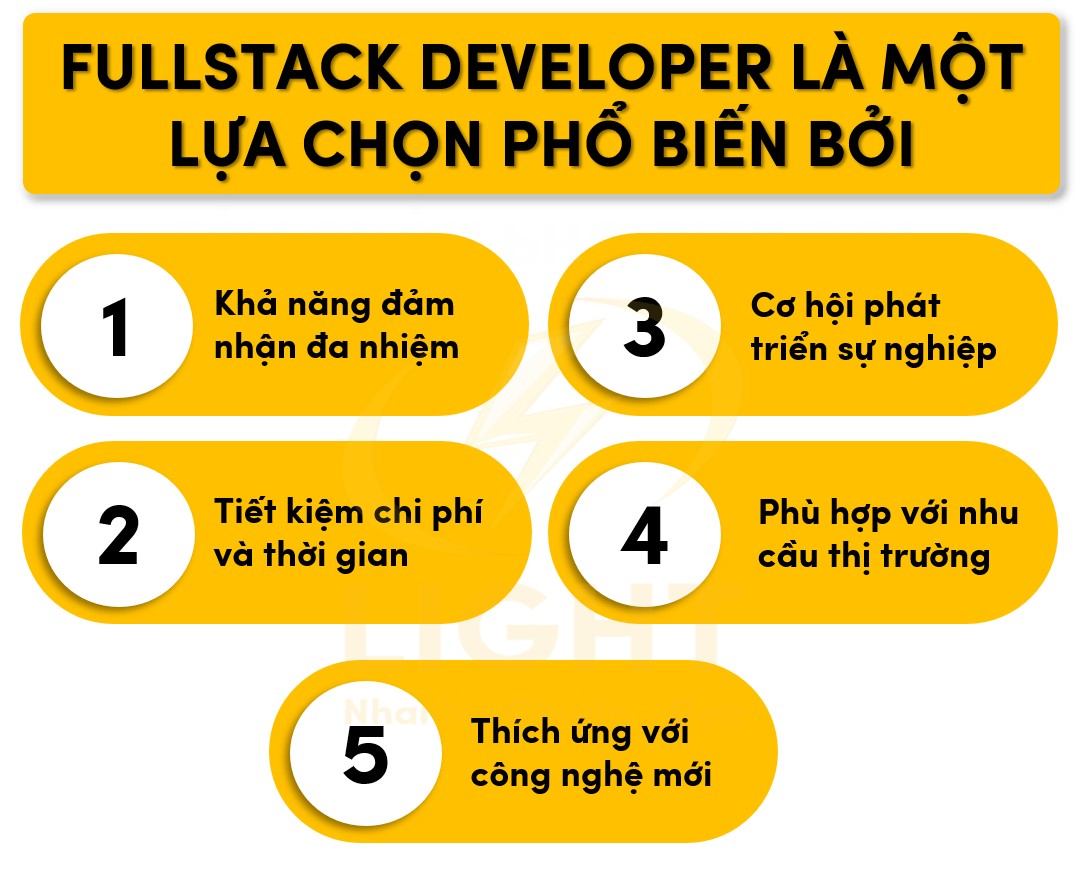 Lý do lựa chọn fullstack developer