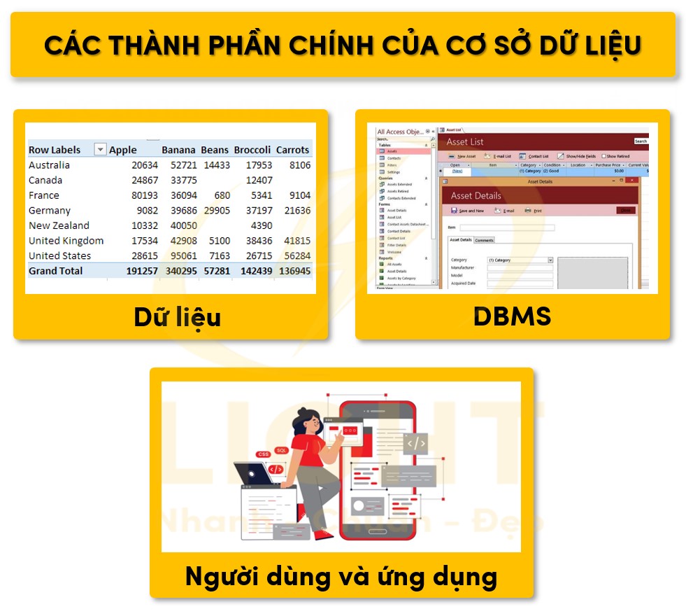 Ba thành phần chính của cơ sở dữ liệu