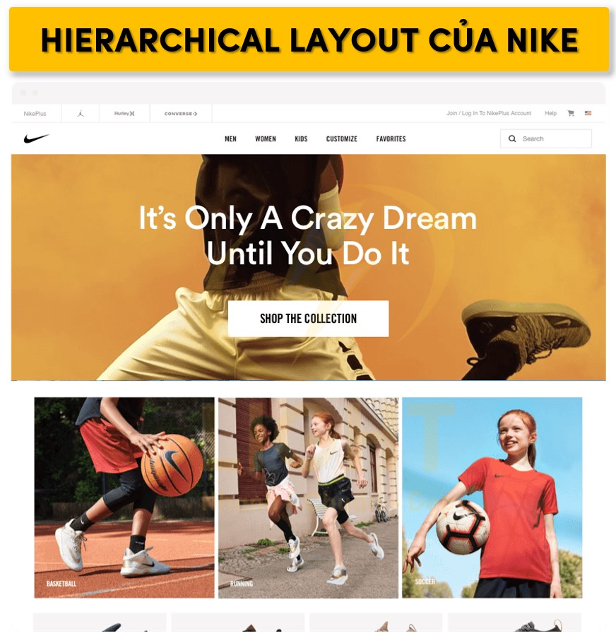 Hierarchical Layout của Nike