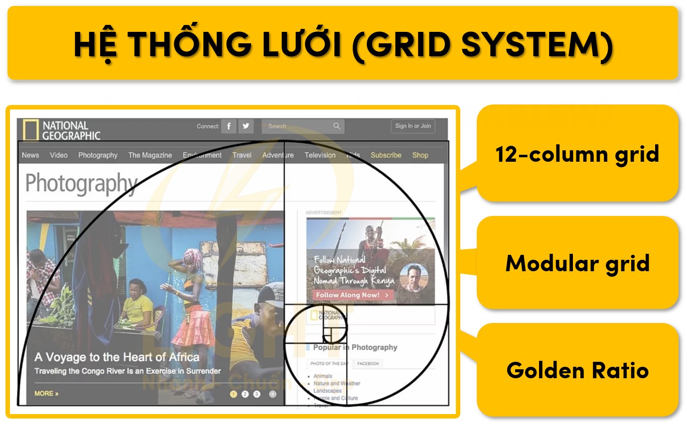 Một số hệ thống lưới phổ biến