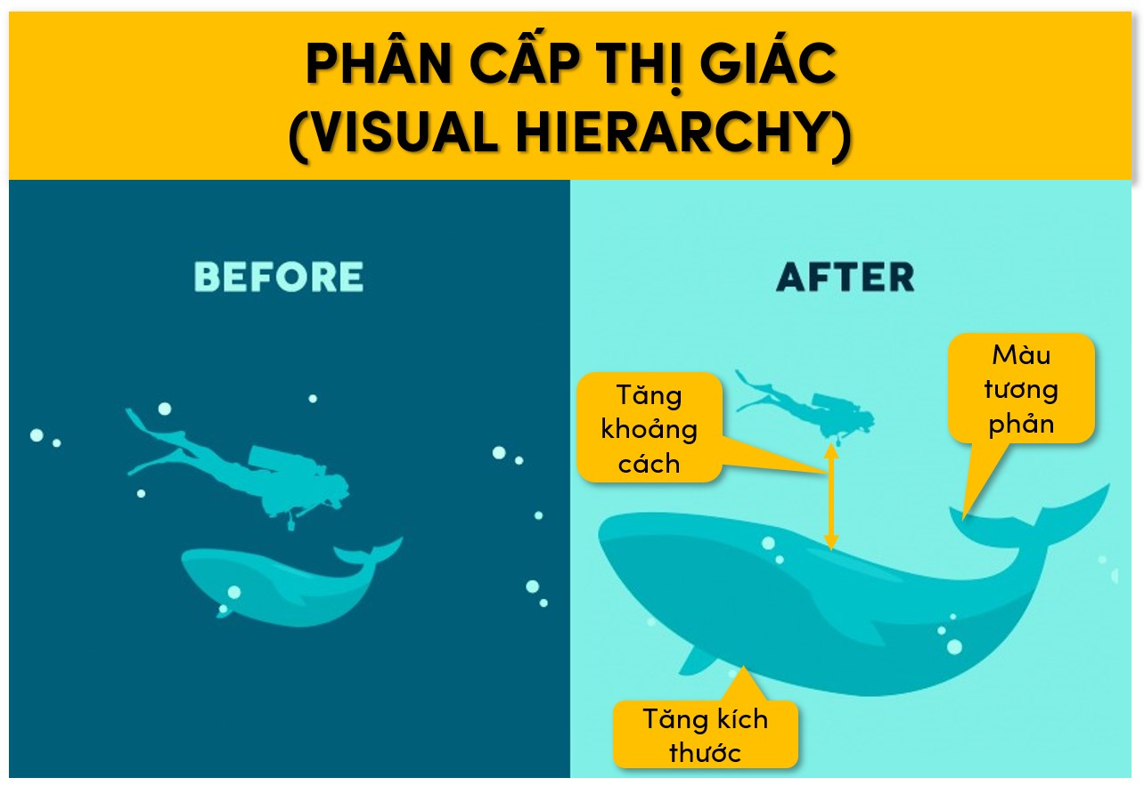 Visual Hierarchy - Phân cấp thị giác 