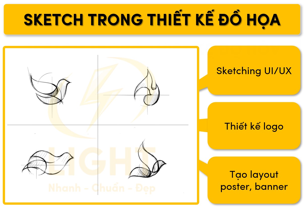 Sketch ứng dụng trong thiết kế đồ họa