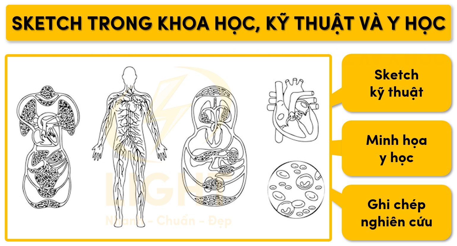 Sketch phục vụ trong khoa học, kỹ thuật và y học