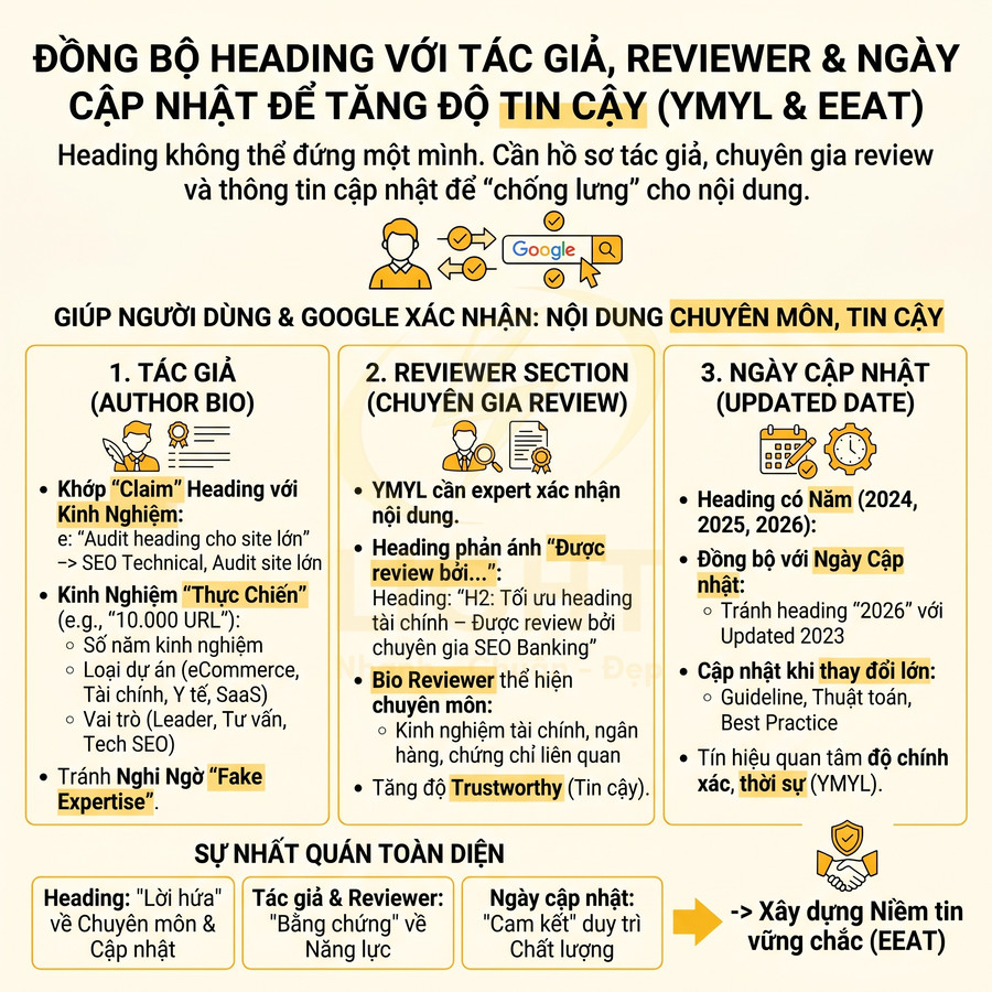 Infographic hướng dẫn đồng bộ heading với tác giả, chuyên gia review và ngày cập nhật để tăng độ tin cậy nội dung SEO
