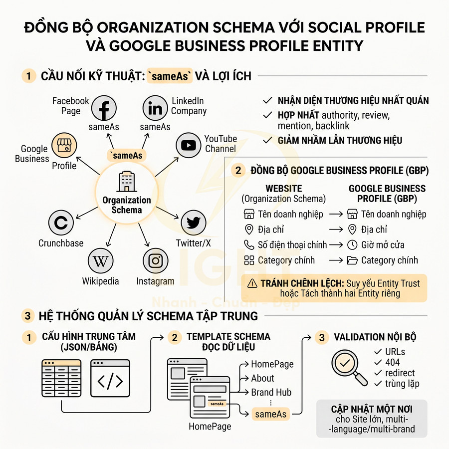 Sơ đồ hướng dẫn đồng bộ Organization Schema với social profile và Google Business Profile để tối ưu SEO entity