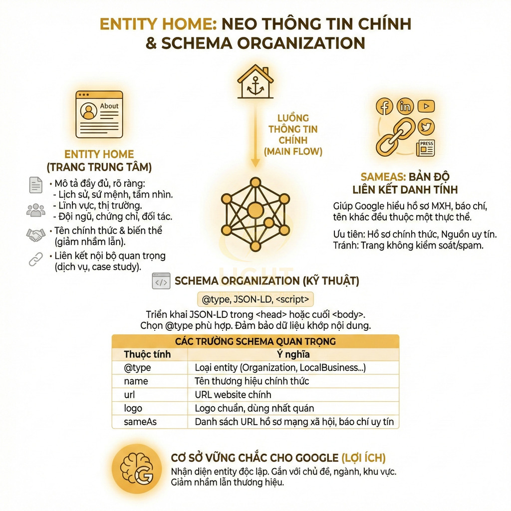 Infographic hướng dẫn tối ưu Entity Home và Schema Organization cho doanh nghiệp trên Google