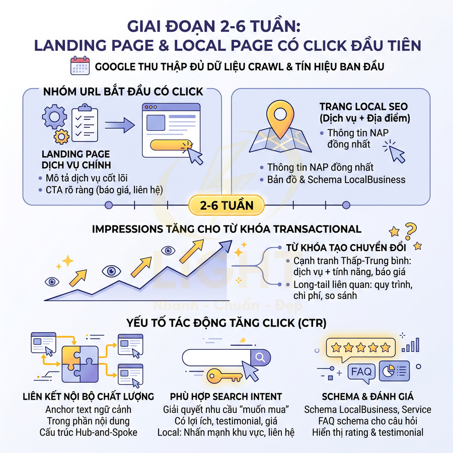 Infographic giai đoạn 2-6 tuần SEO với landing page, local page, tăng impressions và yếu tố tối ưu CTR