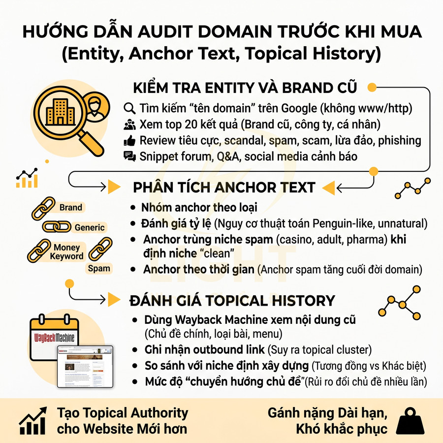 Hướng dẫn audit domain trước khi mua với kiểm tra entity, phân tích anchor text và đánh giá topical history