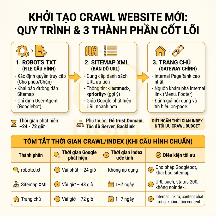 Infographic quy trình khởi tạo crawl website mới với robots.txt, sitemap XML và trang chủ tối ưu SEO