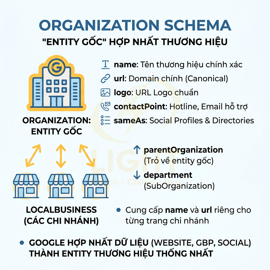 Sơ đồ Organization Schema hướng dẫn khai báo entity gốc và LocalBusiness cho thương hiệu trên Google