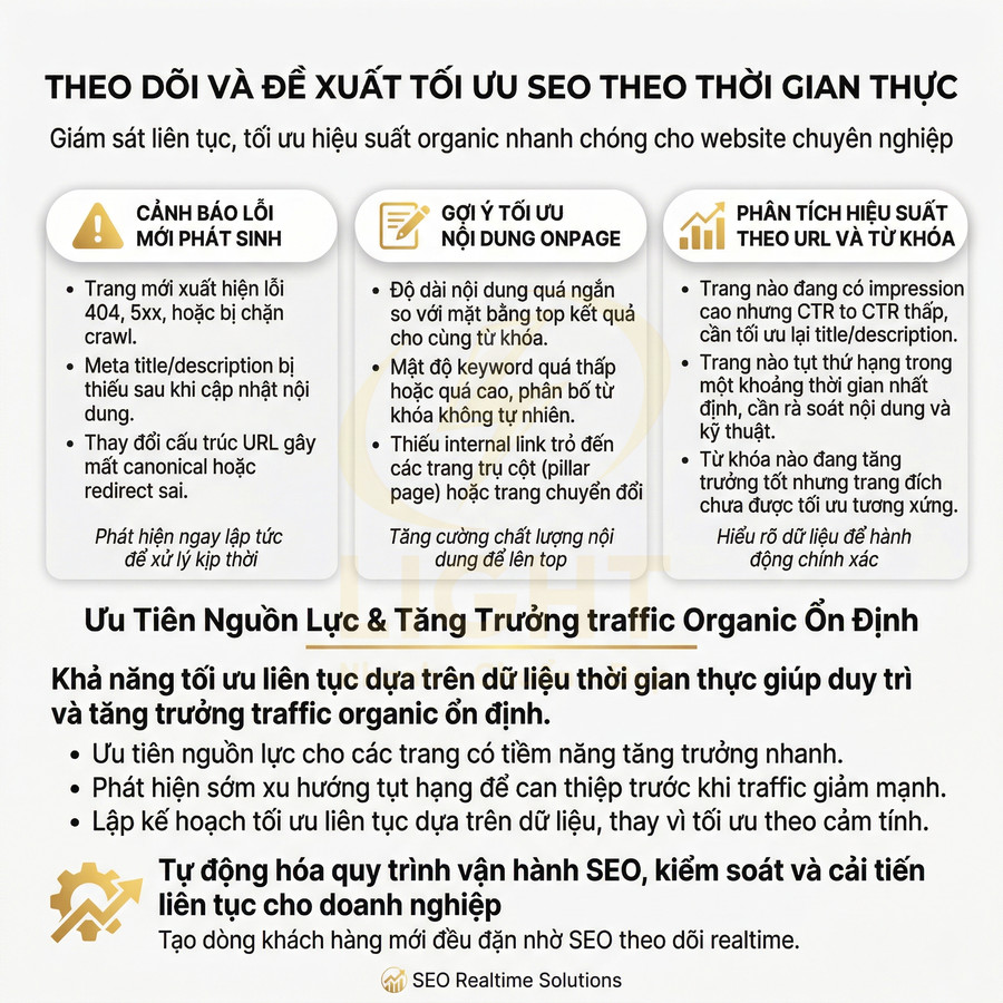 Infographic giải pháp SEO Realtime Solutions theo dõi lỗi, tối ưu nội dung onpage và phân tích hiệu suất từ khóa