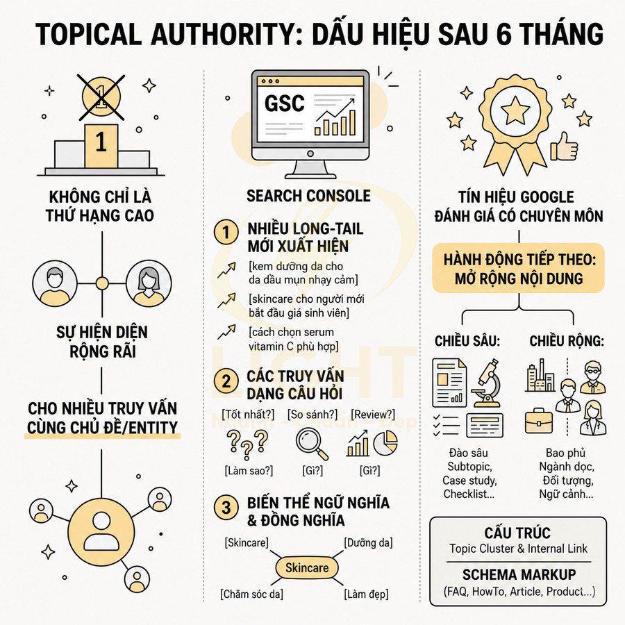 Infographic Topical Authority dấu hiệu sau 6 tháng với Search Console, long tail keyword, truy vấn câu hỏi và mở rộng nội dung SEO
