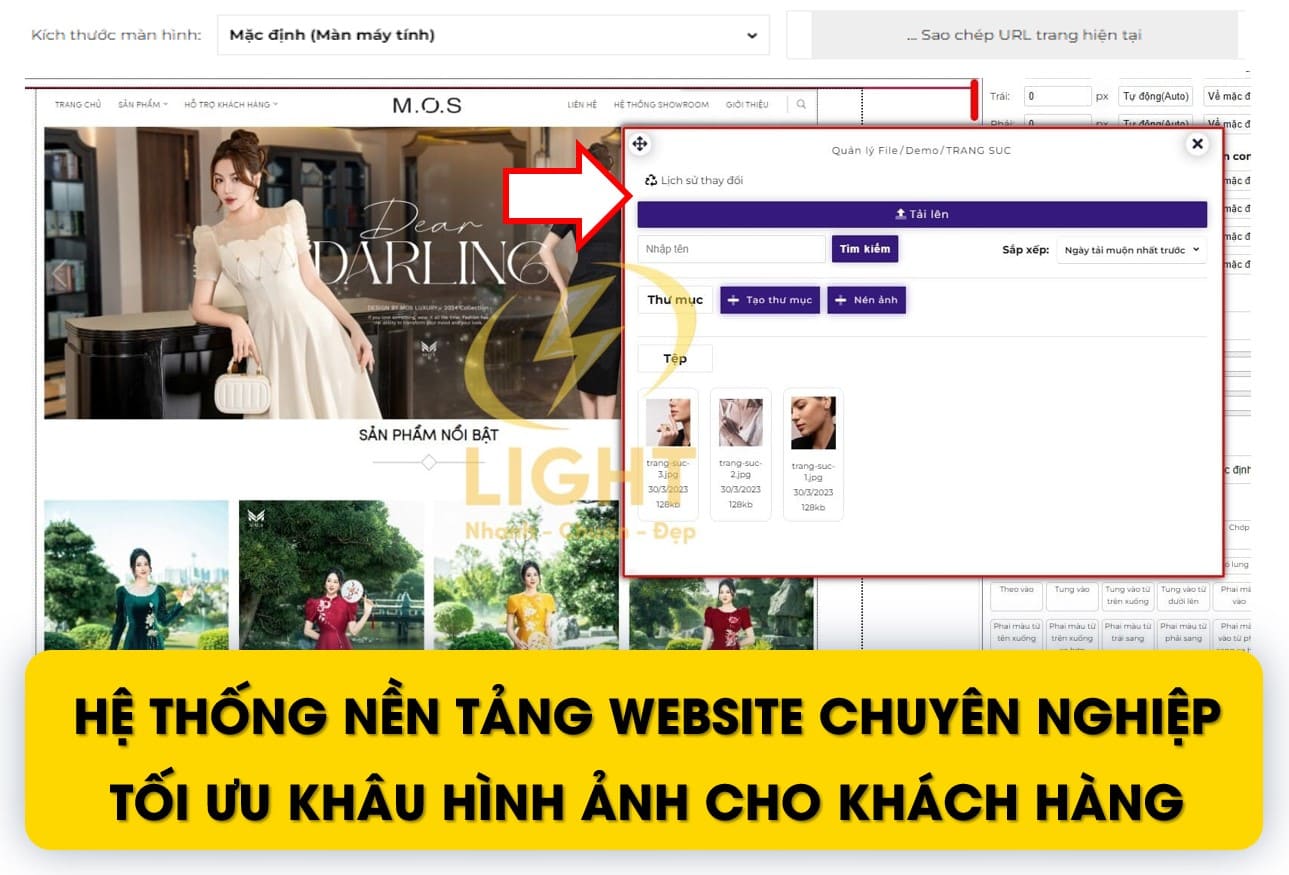 Sự chuyên nghiệp như thế nào?