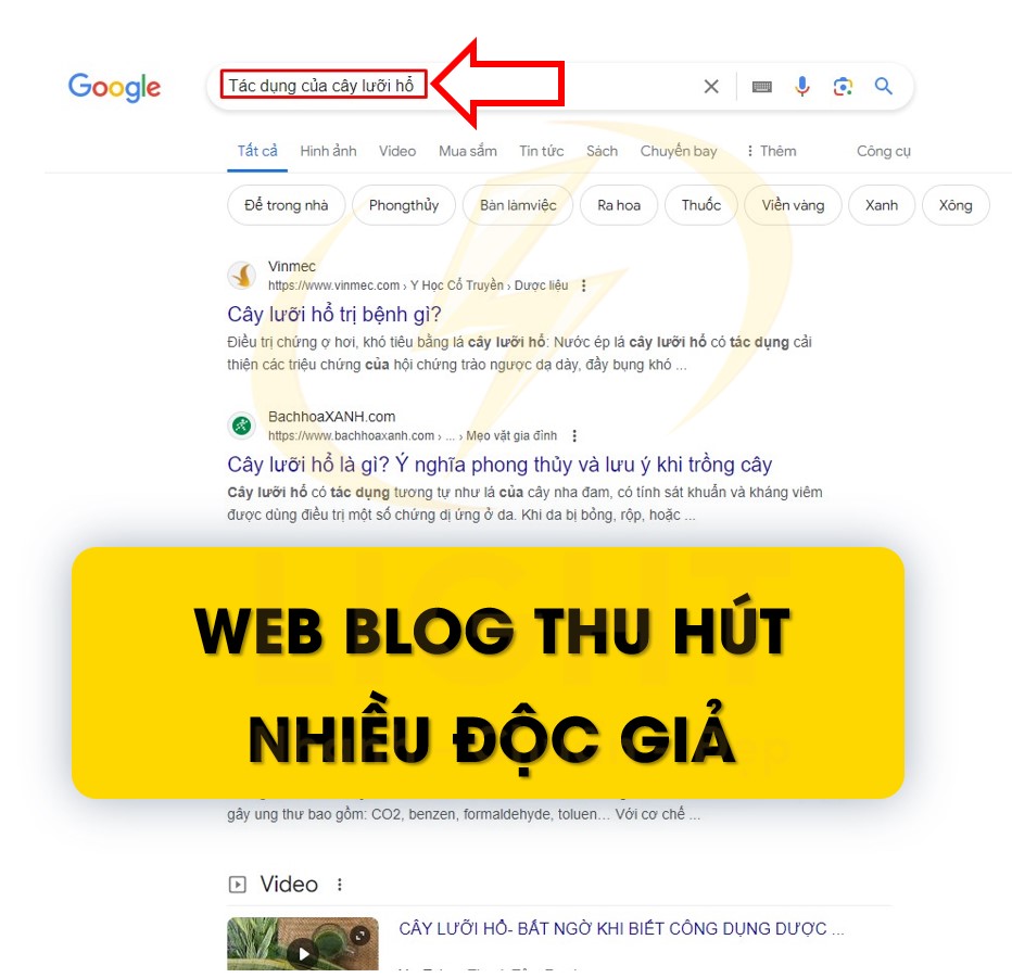 Web blog thu hút nhiều độc giả