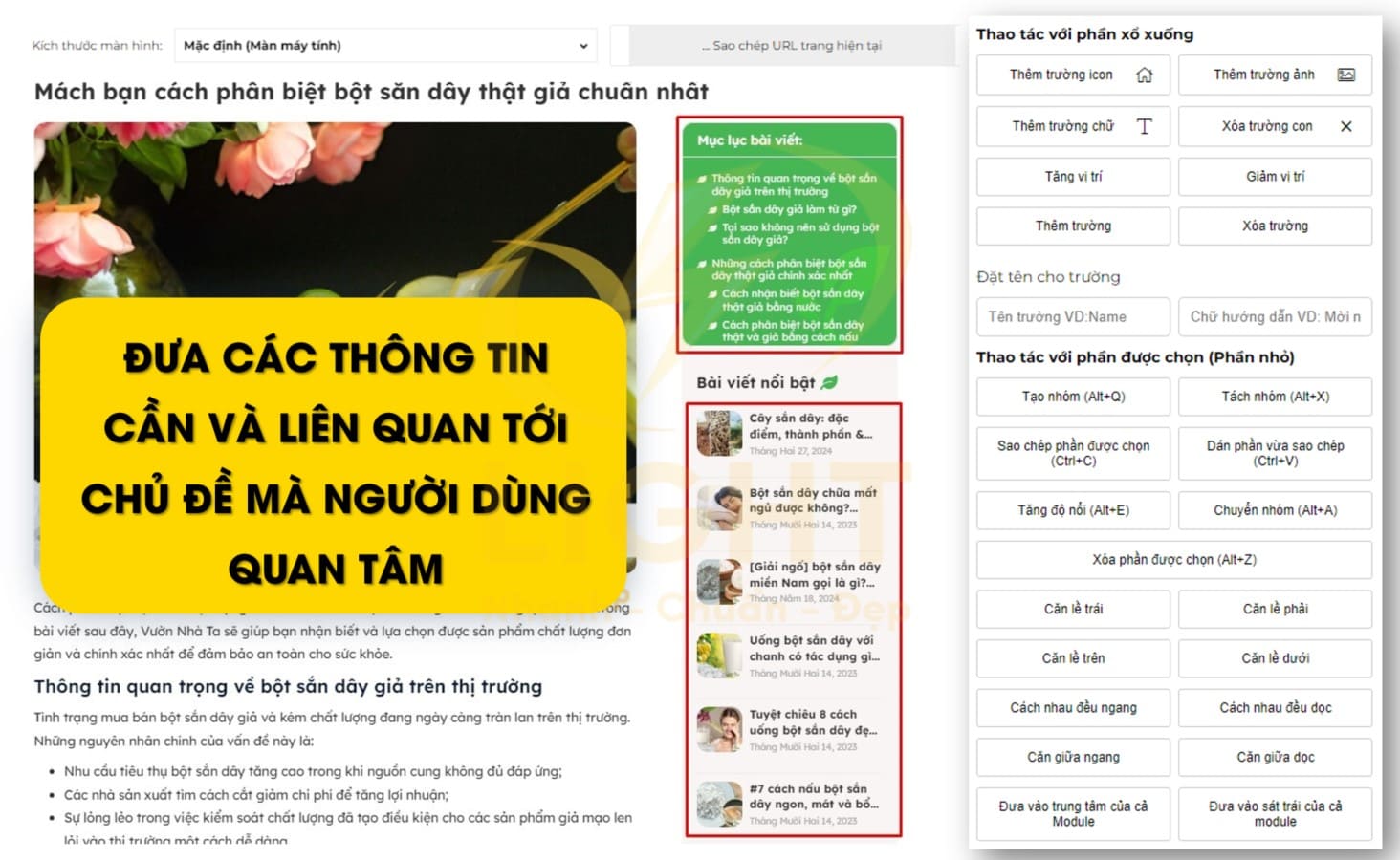 Thiết kế website tin tức chú trọng hình thức và nội dung