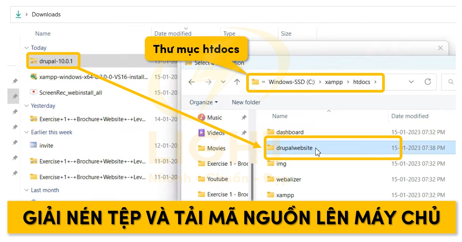 Giải nén file tải về và đưa vào thư mục máy chủ