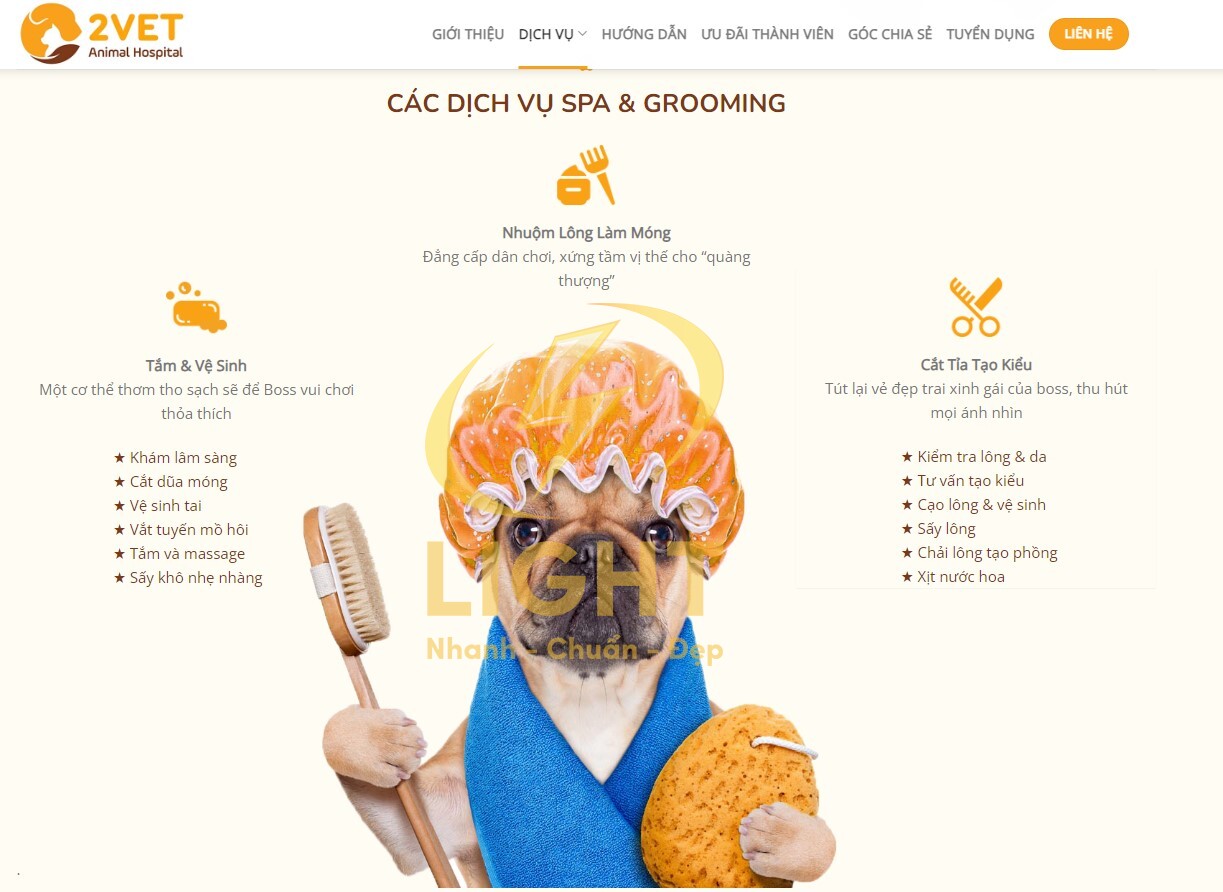 Giao diện trang web thú y của 2Vet