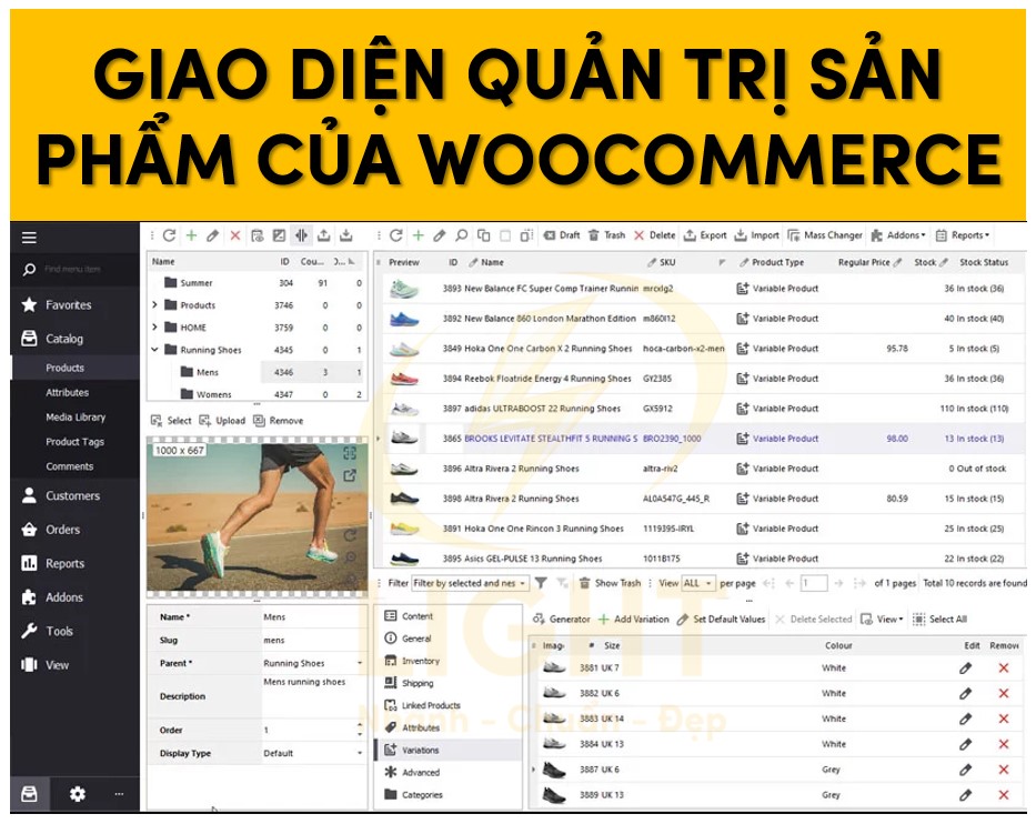 Giao diện trang quản trị sản phẩm của WooCommerce 