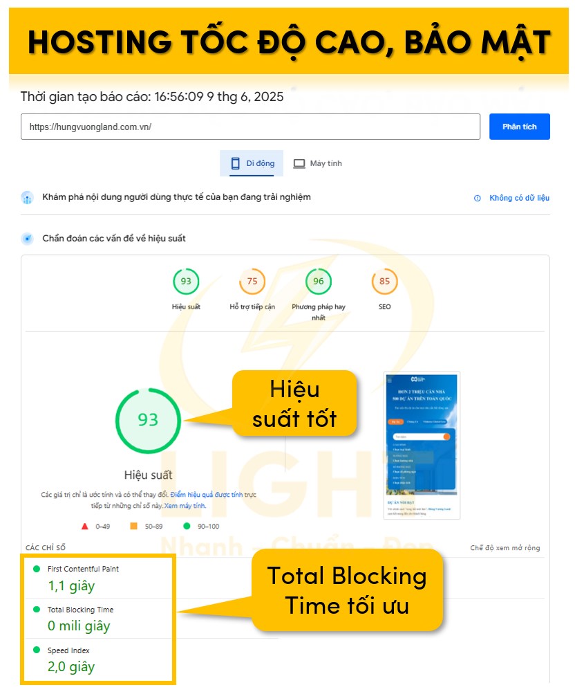 Hosting tốc độ cao thông qua các thông số trang trên Google Page Speed
