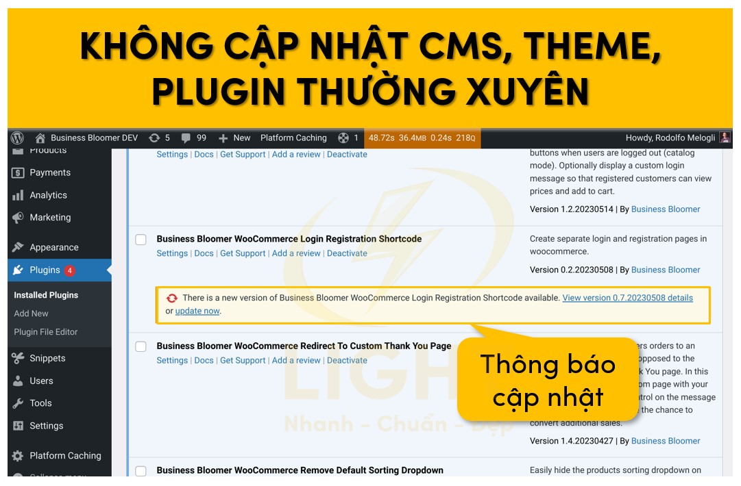 Không thường xuyên cập nhật CMS hay các plugin hay theme thường xuyên