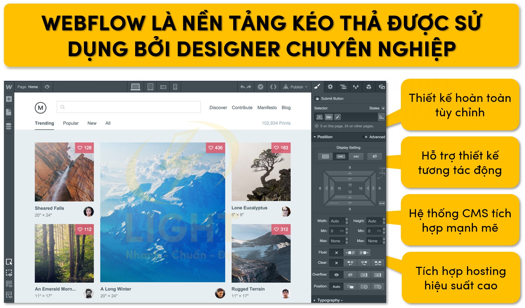 Nền tảng Webflow hay được các designer chuyên nghiệp sử dụng