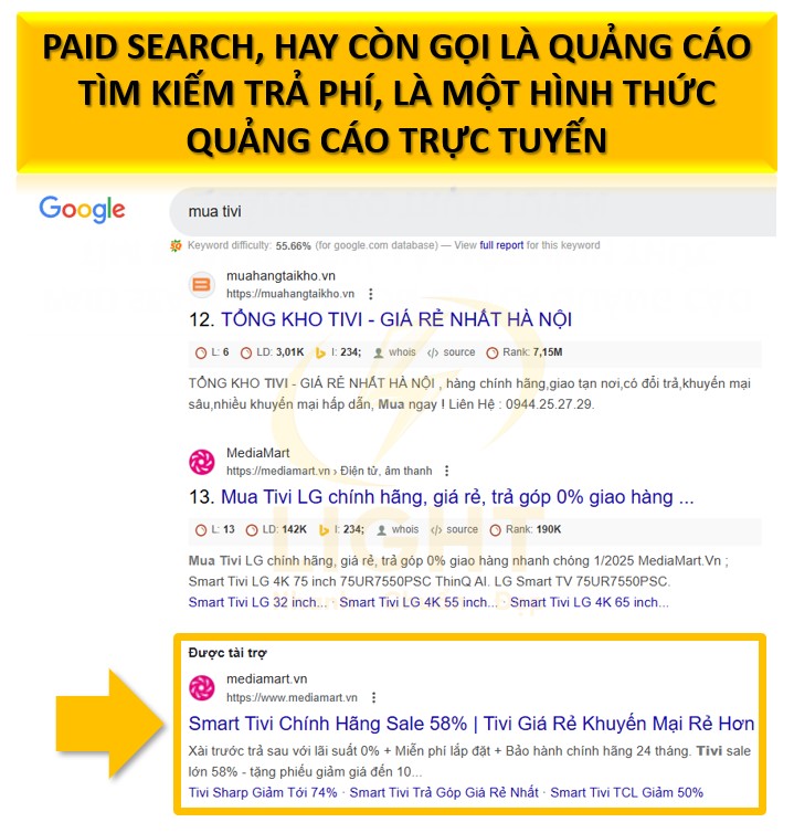 Paid search là gì? Các kiến thức quan trọng trong tìm kiếm trả phí