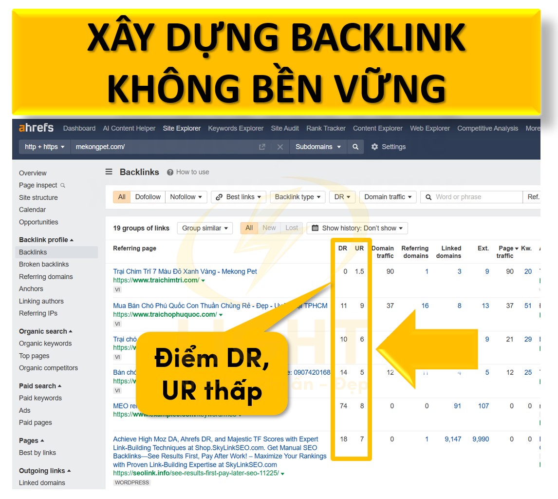 Xây dựng backlink không bền vững