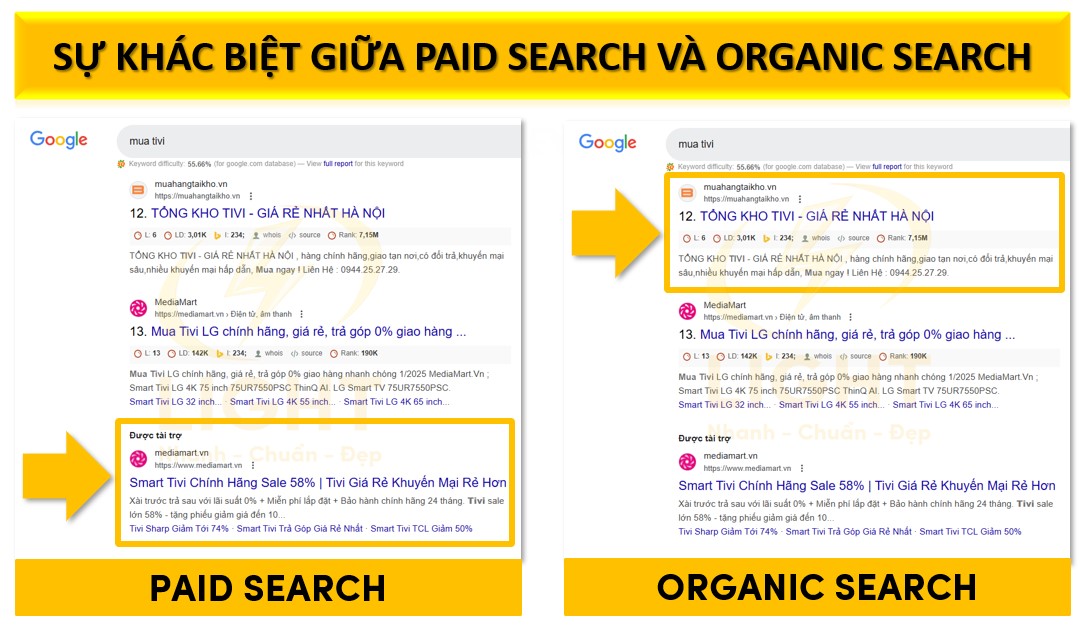 Sự khác biệt giữa Paid Search và Organic Search