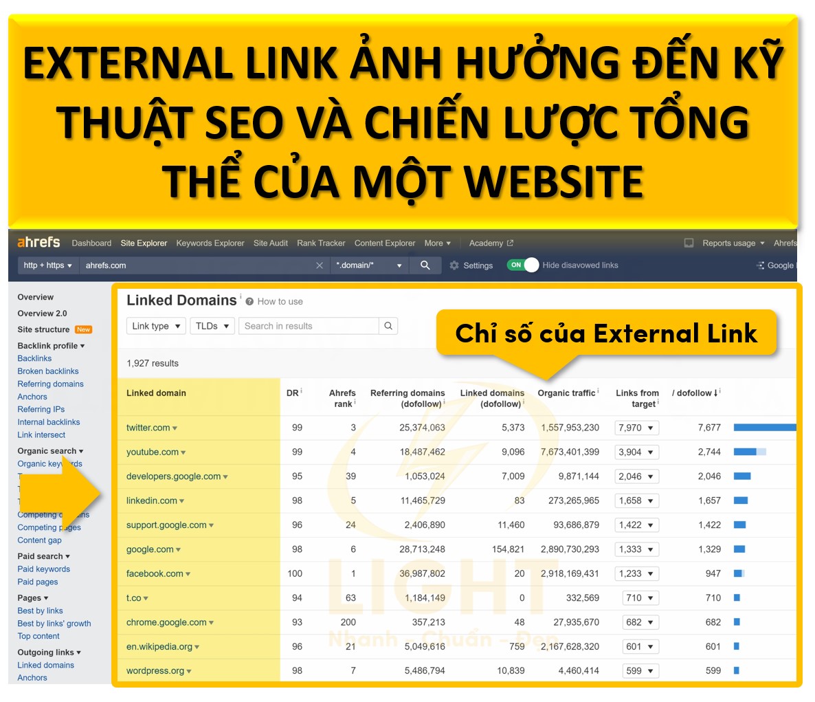 External Link ảnh hưởng đến kỹ thuật SEO và chiến lược tổng thể của một website