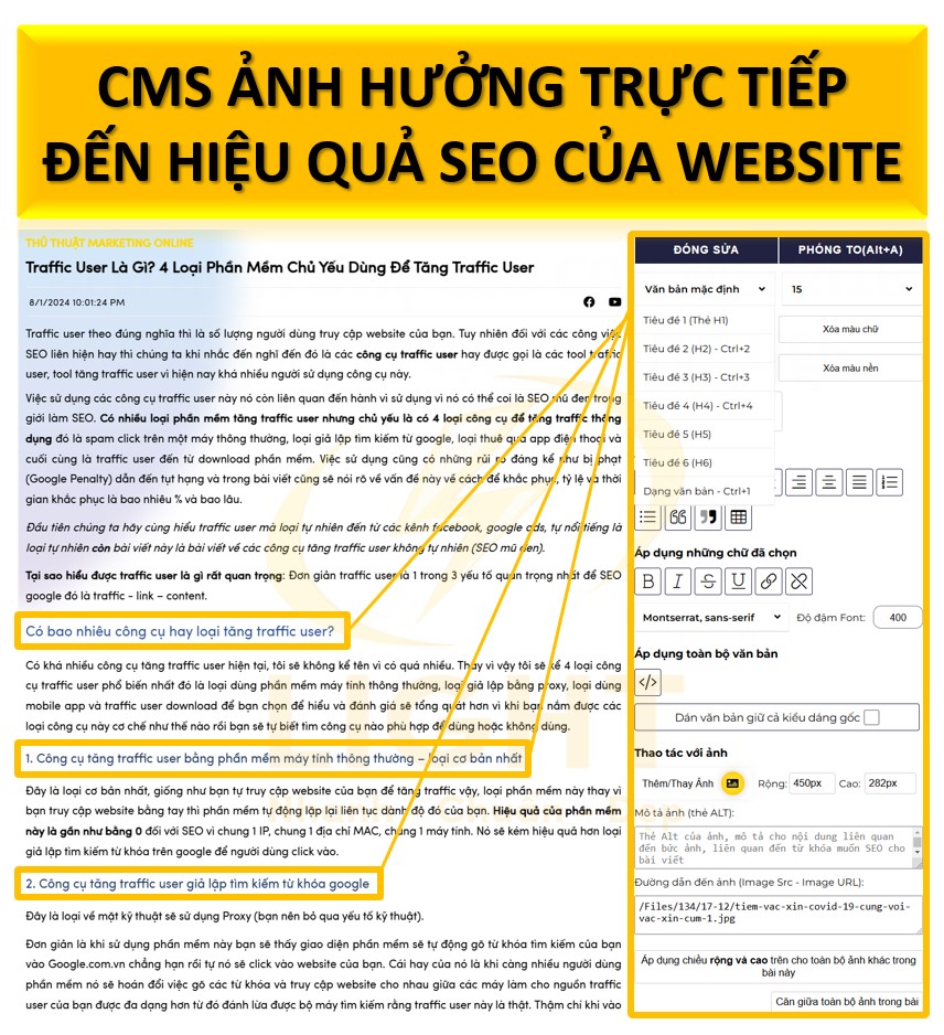 Sử dụng CMS (Content Management System) có ảnh hưởng trực tiếp đến hiệu quả SEO của websit