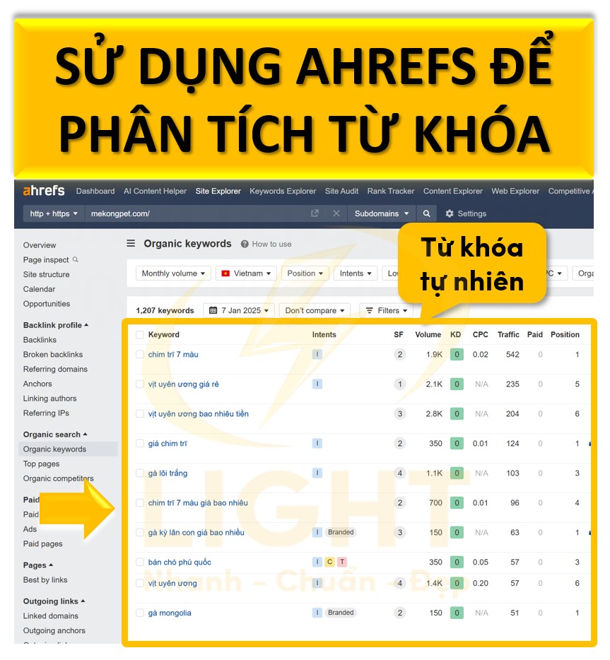 Sử dụng Ahref để kiểm tra thứ hạng từ khóa.