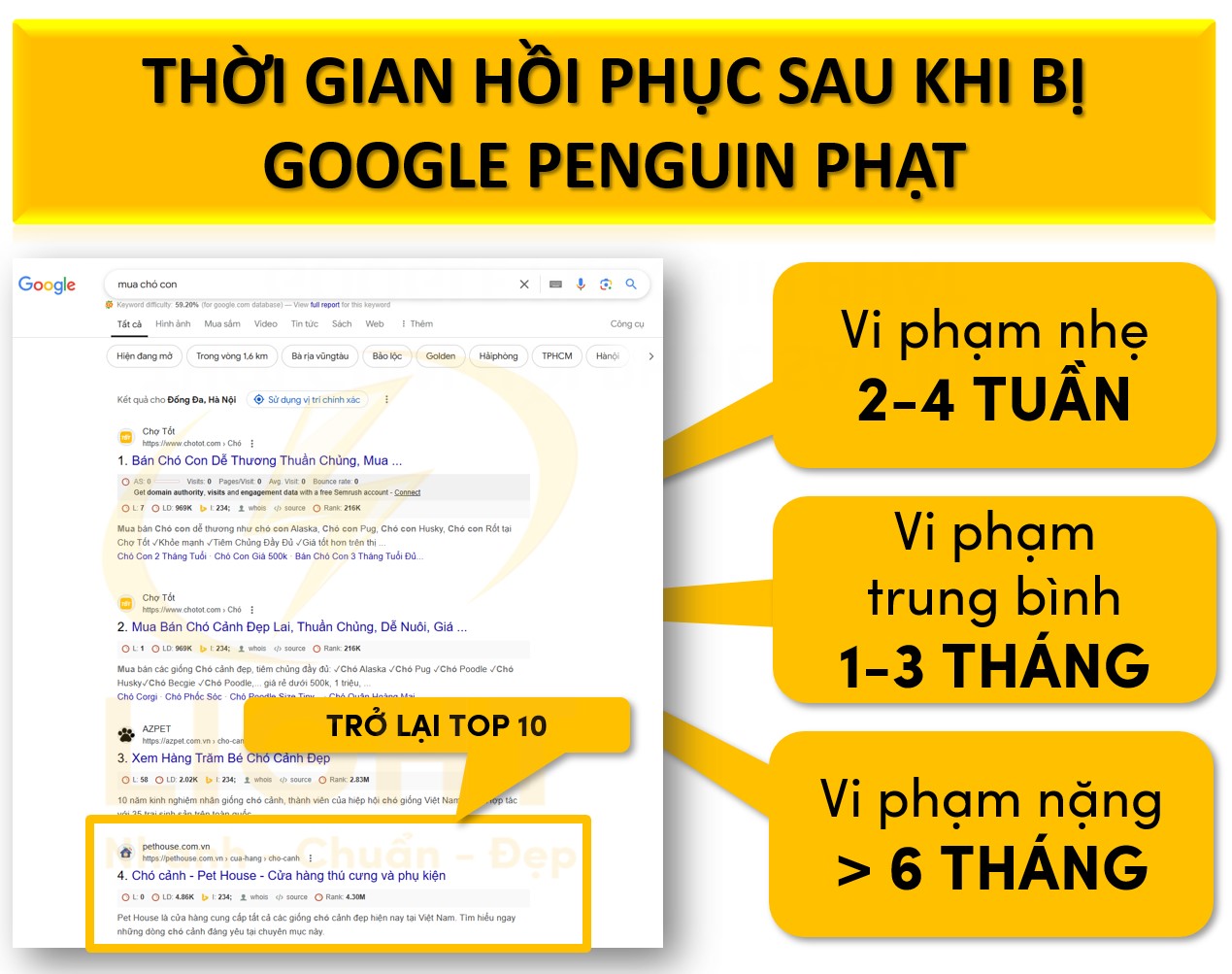 Thời gian khôi phục sau khi bị Google Penguin phạt