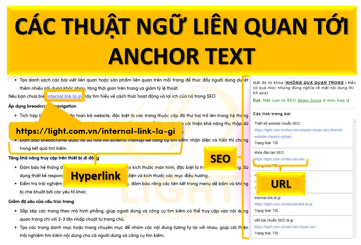 Các Thuật Ngữ Liên Quan