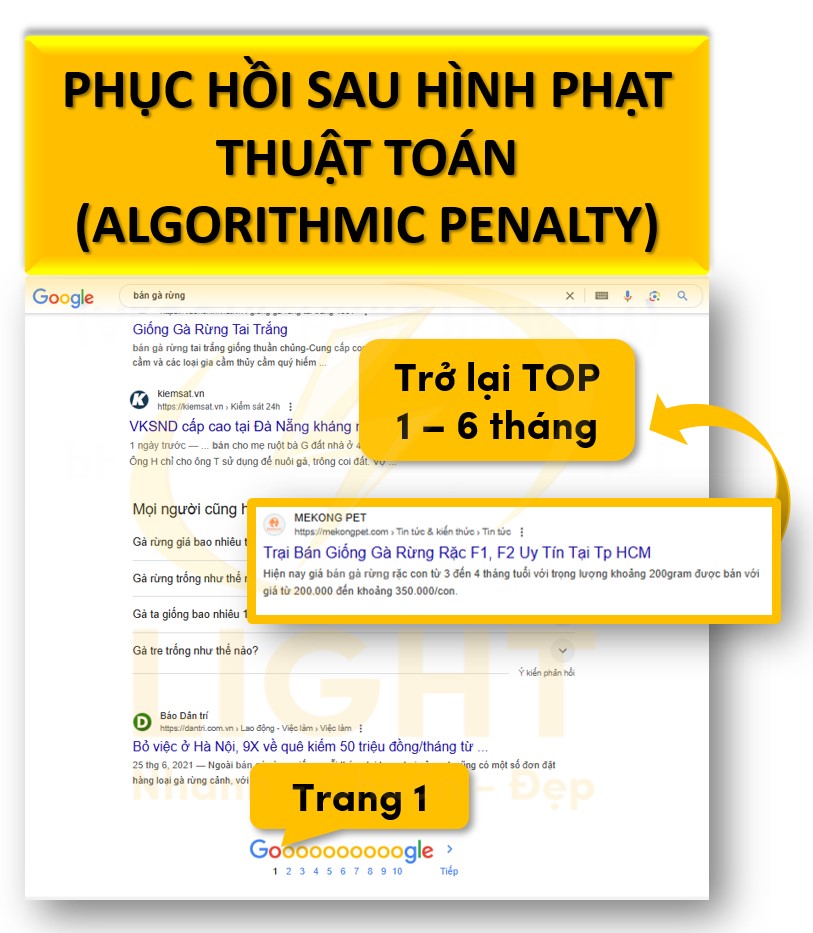 Phục hồi sau hình phạt thuật toán (Algorithmic Penalty)