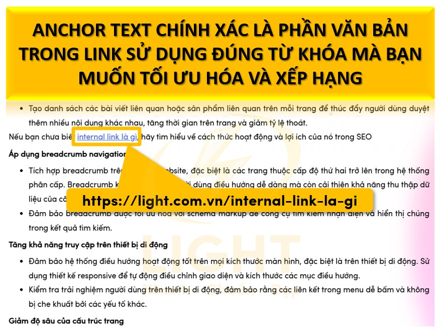 Anchor Text Chính Xác (Exact Match)