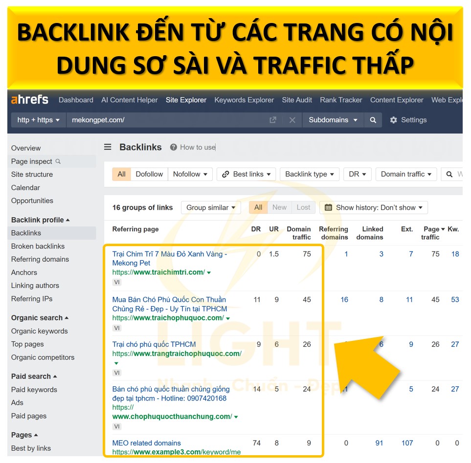 Backlink không tự nhiên (Spam Link)