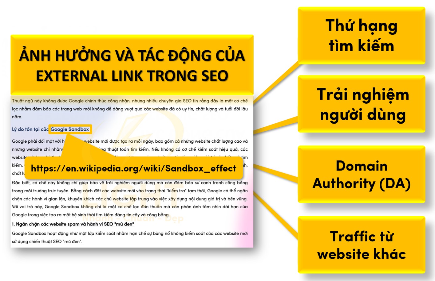 Tầm quan trọng của External Link trong SEO