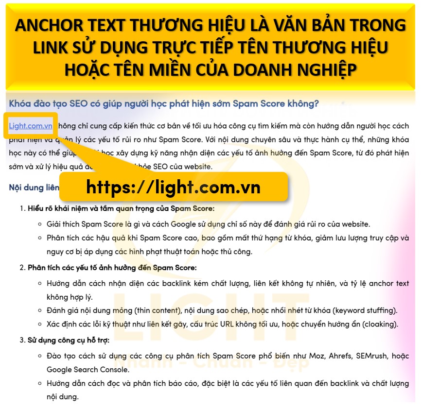 Anchor Text Thương Hiệu (Branded Anchor)