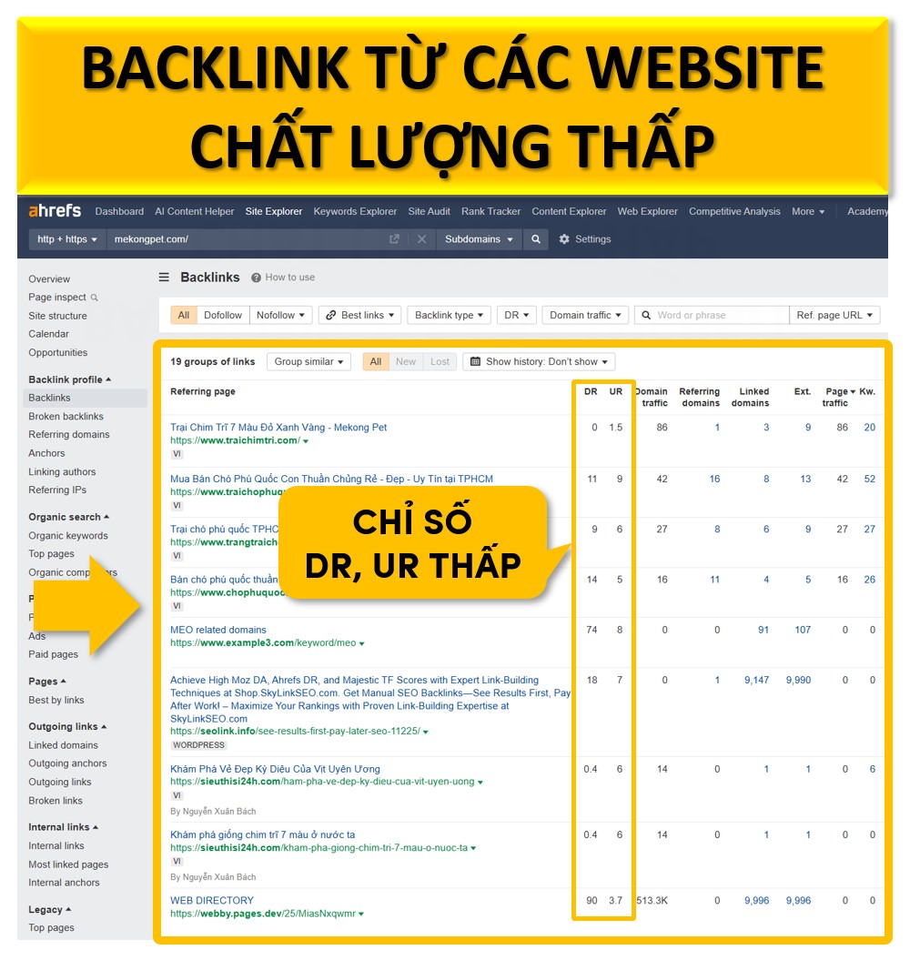 Backlink không tự nhiên (spam links)